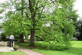 Park hinter dem Gutshaus von Othegraven